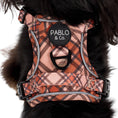 Load image into Gallery viewer, Pablo & Co. Boutique - Kensington: No Pull Adventure Harness: M
