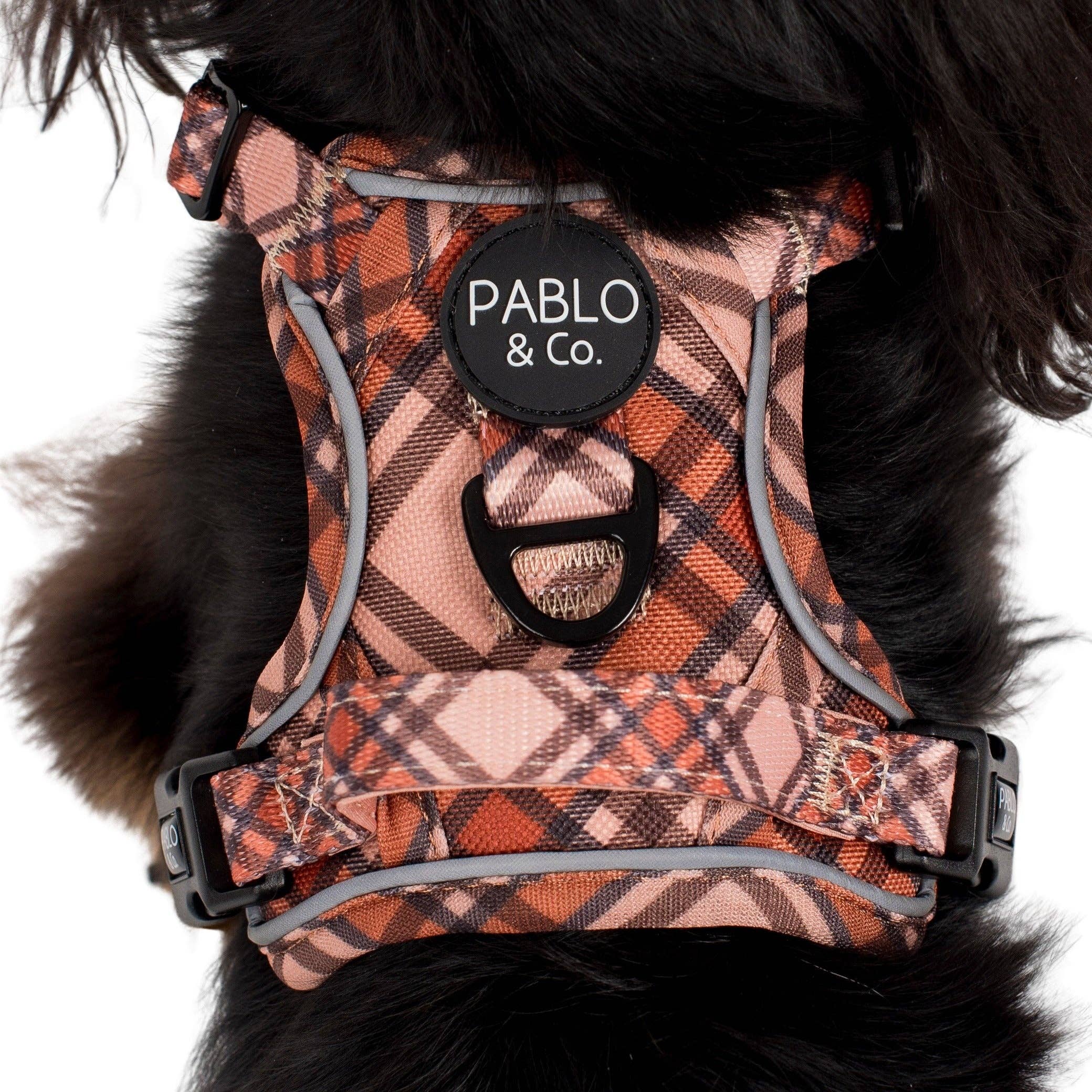 Pablo & Co. Boutique - Kensington: No Pull Adventure Harness: M