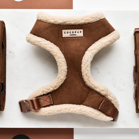 Cocopup London - 🤎 Brown Aviator Adjustable Neck Harness