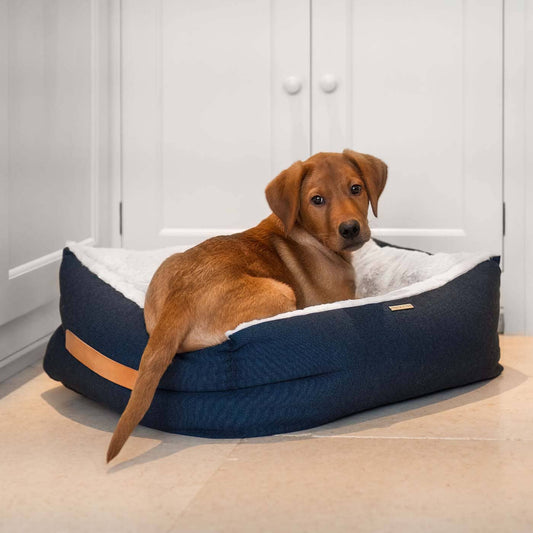 Essentials Twill Box Bed in Denim