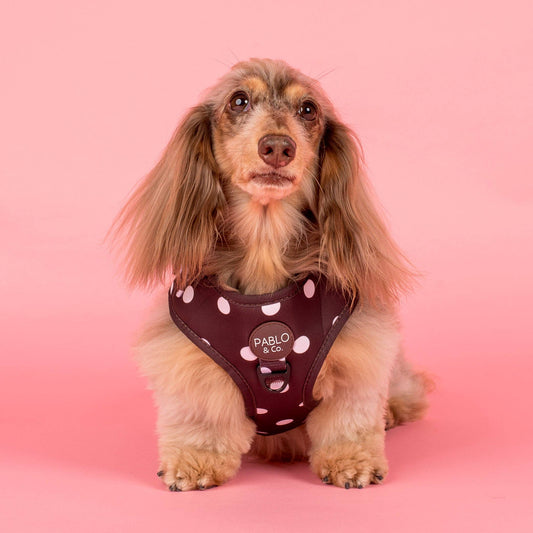Pablo & Co. Boutique - Polka Dots: Adjustable Harness: XS