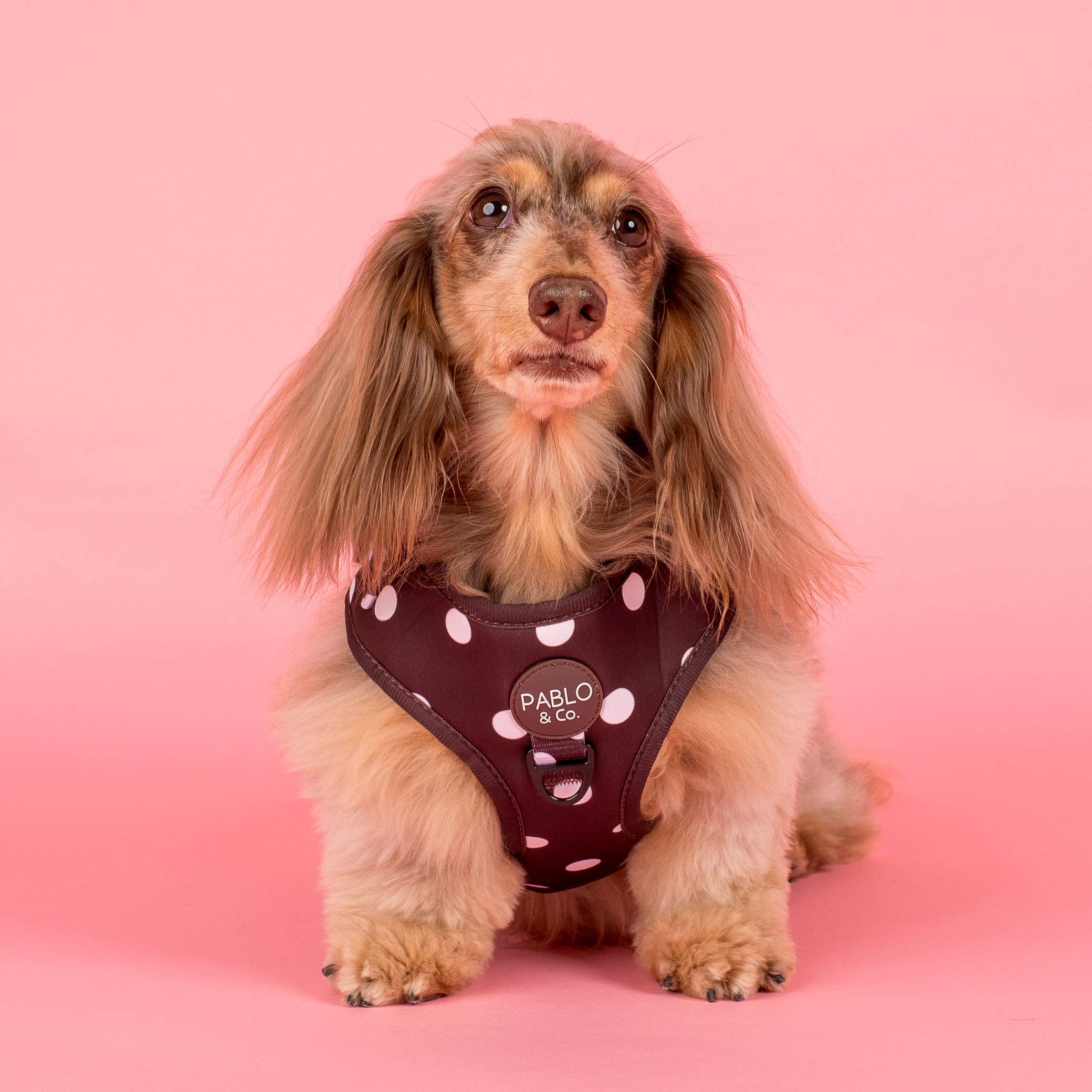 Pablo & Co. Boutique - Polka Dots: Adjustable Harness: Medium