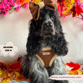 Load image into Gallery viewer, Brown Aviator Adjustable Neck Harness
