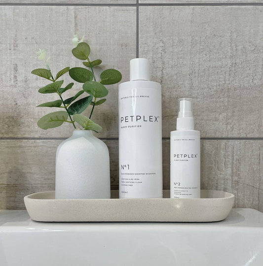 Lords and Labradors - PetPlex Puppy Purifier Collection