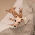 Load image into Gallery viewer, Sleepy Burrows Bed in Mink Bouclé
