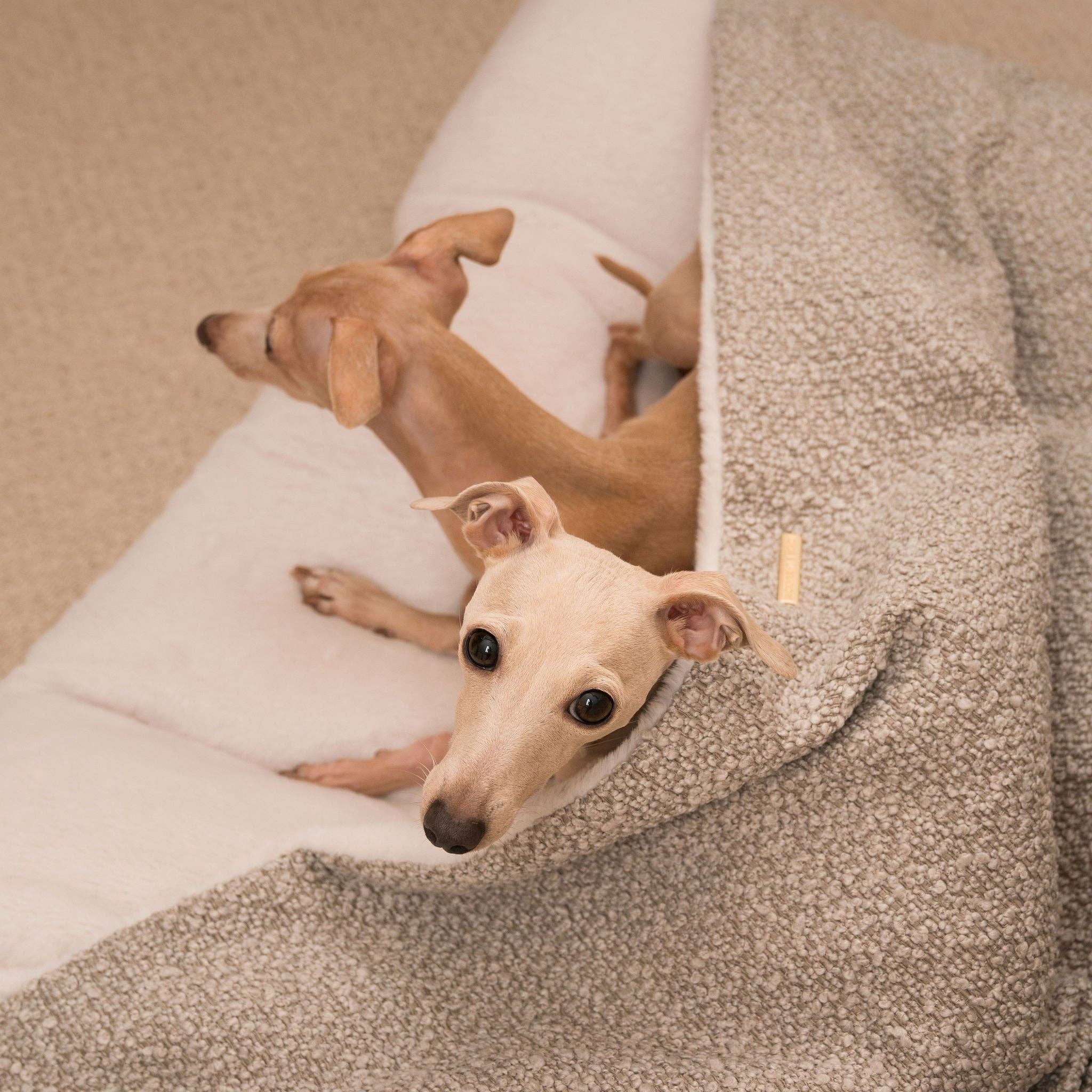 Sleepy Burrows Bed in Mink Bouclé