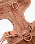 Load image into Gallery viewer, Wild One - Harness: Moonstone / MEDIUM
