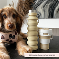Load image into Gallery viewer, Collapsible Water Bottle - Nude
