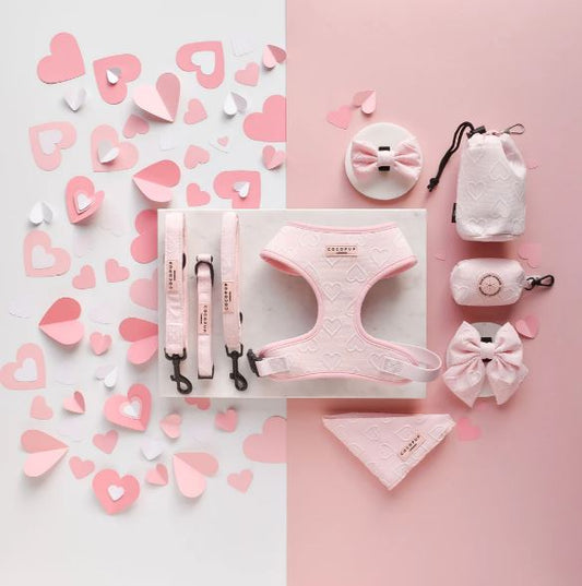 Cocopup London - LUXE Collar - 💖Baby Pink Heart