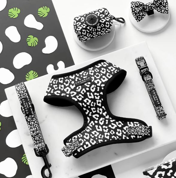 Black Leopard Collar