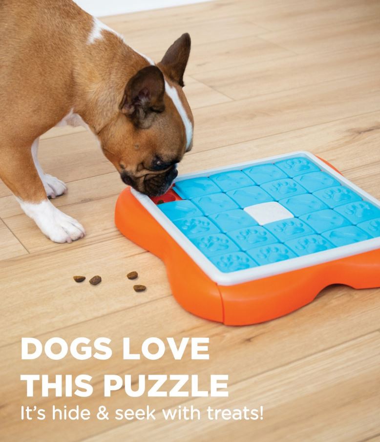 Outward Hound - Nina Ottosson - Dog Challenge Slider (Level 3)