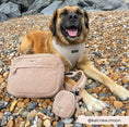 Load image into Gallery viewer, Cocopup London - 🧸 Dog Walking Bag – Large Teddy Rupert
