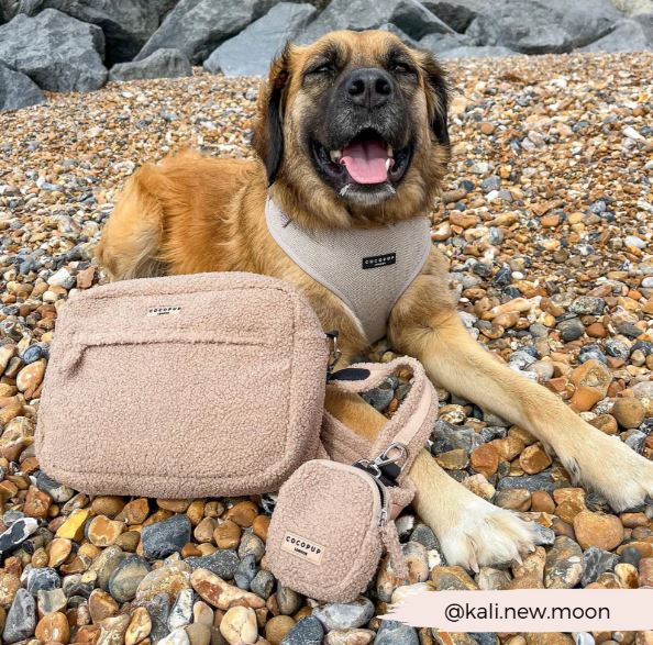 Cocopup London - 🧸 Dog Walking Bag – Large Teddy Rupert
