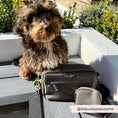 Load image into Gallery viewer, Cocopup London - 🤎Dog Walking Bag - Mocha
