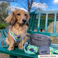 Load image into Gallery viewer, Cocopup London - 🤎Dog Walking Bag - Mocha

