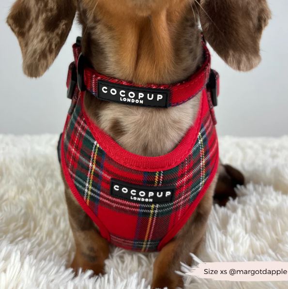 Tartan Collar