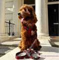 Load image into Gallery viewer, Cocopup London - ❤️Tartan Lead
