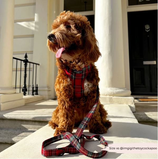 Cocopup London - ❤️Tartan Lead