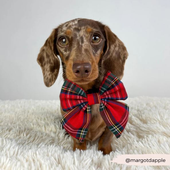 Tartan Sailor Bow Tie