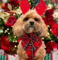 Load image into Gallery viewer, Tartan Sailor Bow Tie
