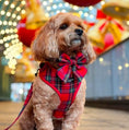 Load image into Gallery viewer, Tartan Sailor Bow Tie
