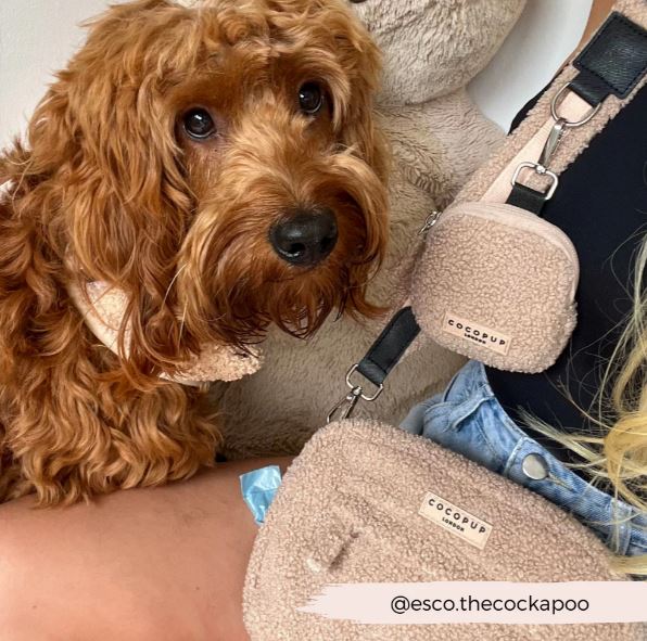 Dog Walking Bag – Teddy Rupert