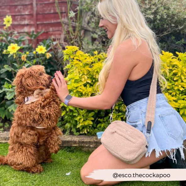Dog Walking Bag – Teddy Rupert