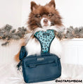 Load image into Gallery viewer, Dog Walking Bag - Black
