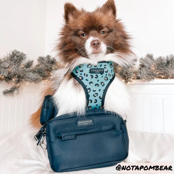 Dog Walking Bag - Black