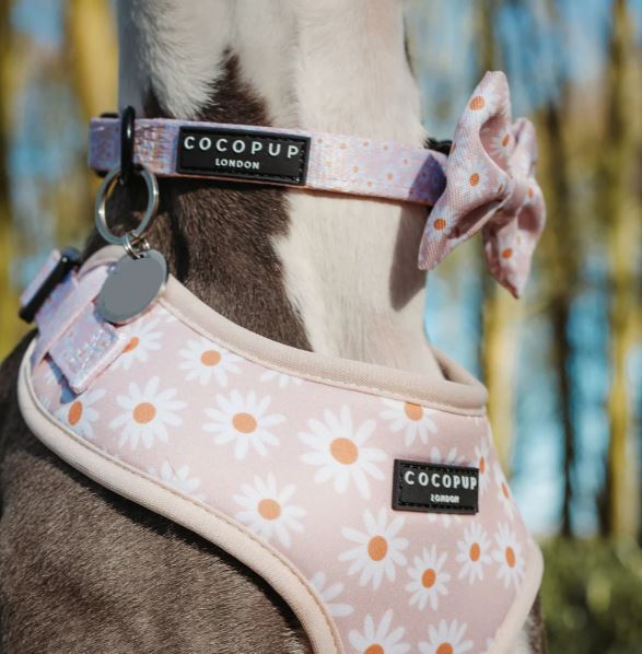 Daisy Chain Collar