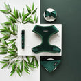 Load image into Gallery viewer, Forest Green LUXE Velvet Collar
