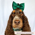 Load image into Gallery viewer, Forest Green LUXE Velvet Bow Tie
