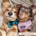 Load image into Gallery viewer, Forest Green LUXE Velvet Bow Tie
