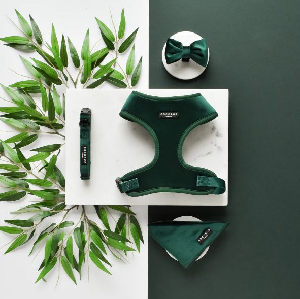 Forest Green LUXE Velvet Bow Tie