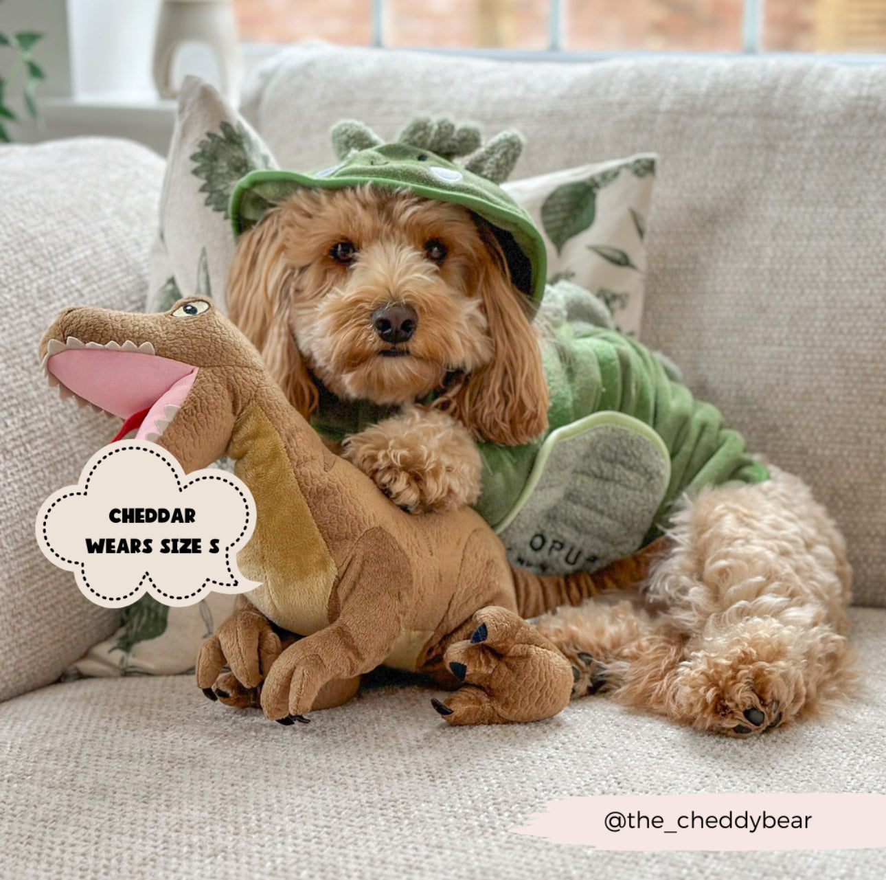 Cocopup London - 🦕 Dinopup Drying Robe