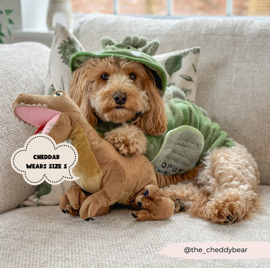 Cocopup London - 🦕 Dinopup Drying Robe