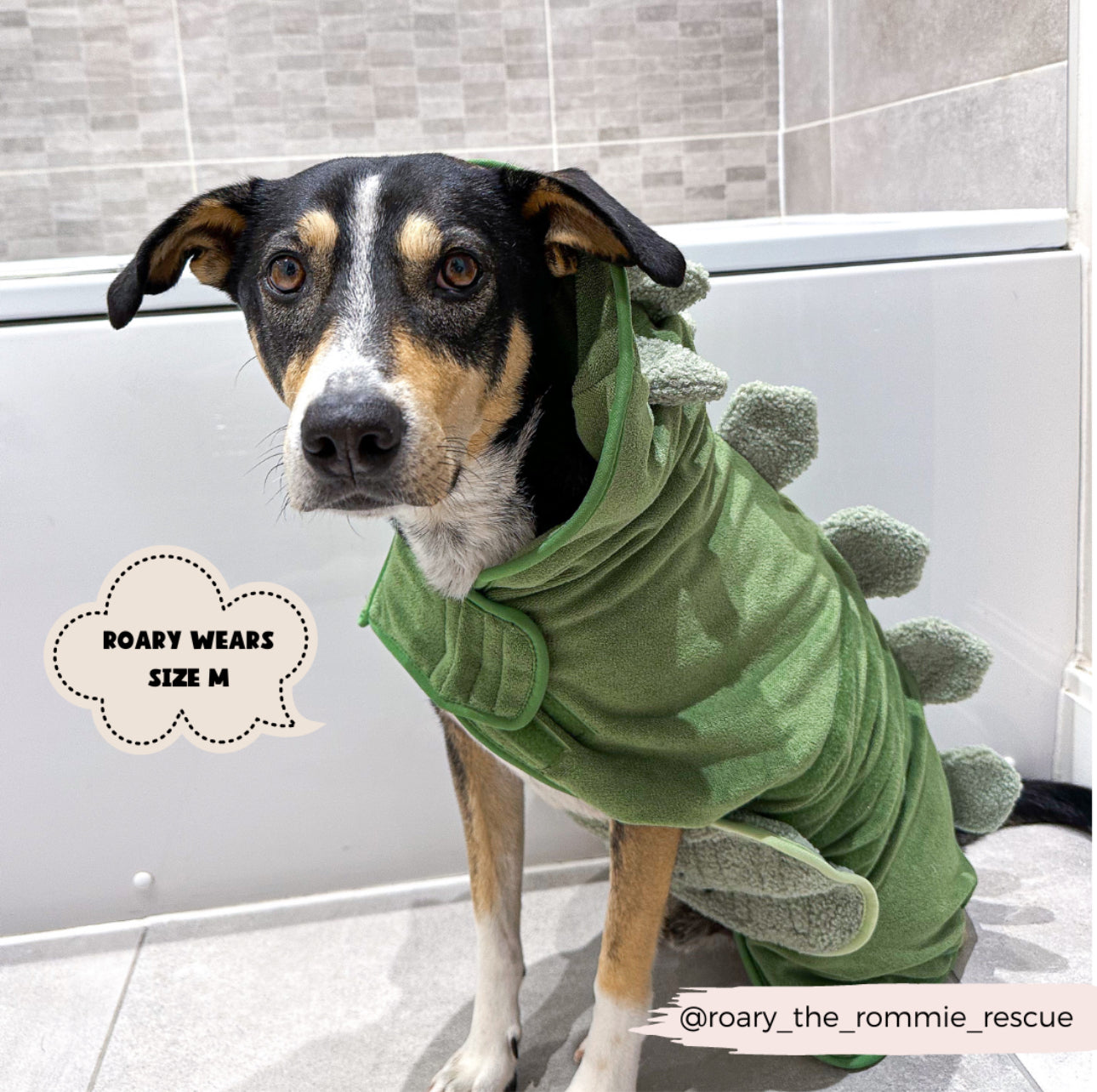 Cocopup London - 🦕 Dinopup Drying Robe