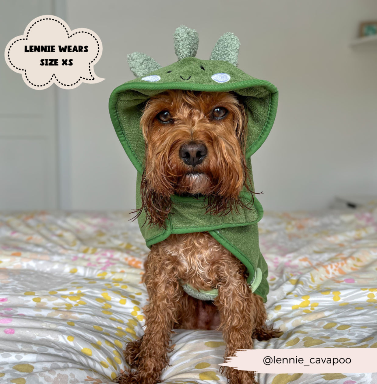 Cocopup London - 🦕 Dinopup Drying Robe