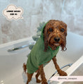 Load image into Gallery viewer, Cocopup London - 🦕 Dinopup Drying Robe
