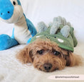 Load image into Gallery viewer, Cocopup London - 🦕 Dinopup Drying Robe
