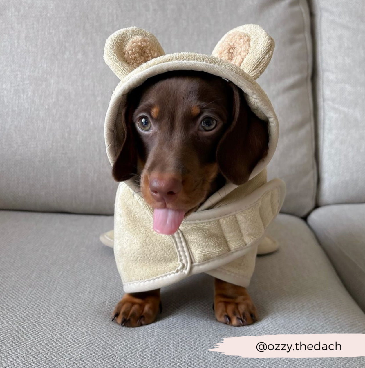 Cocopup London - Teddy Drying Robe