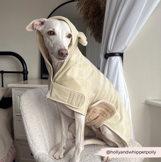 Cocopup London - Teddy Drying Robe