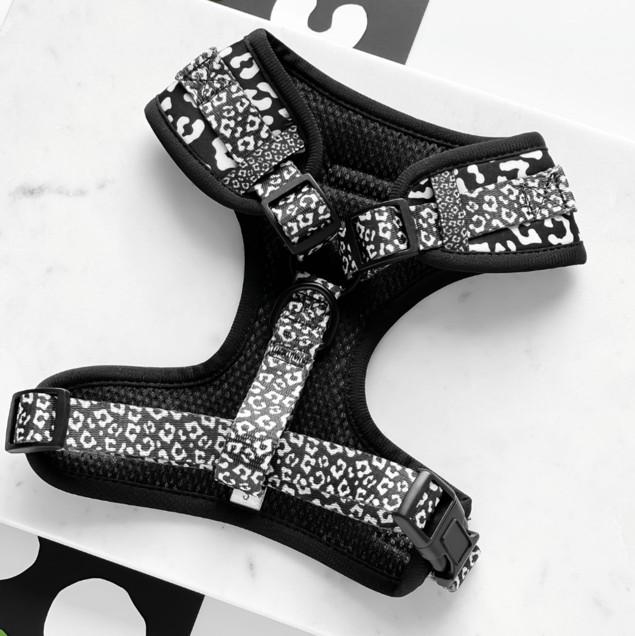 Black Leopard Adjustable Neck Harness