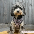 Load image into Gallery viewer, Black Leopard Adjustable Neck Harness
