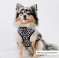 Load image into Gallery viewer, Black Leopard Adjustable Neck Harness
