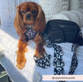 Load image into Gallery viewer, Black Leopard Adjustable Neck Harness
