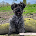 Load image into Gallery viewer, Black Leopard Adjustable Neck Harness

