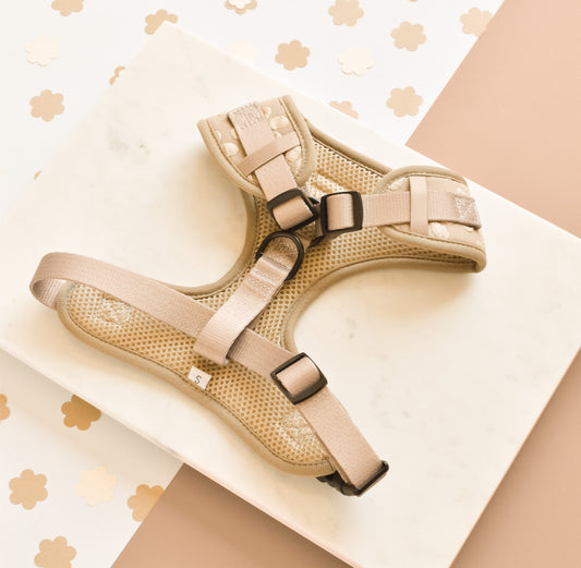 Cocopup London - 🌸 Mocha Flower Adjustable Neck Harness