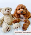 Load image into Gallery viewer, Cocopup London - 🧸 Teddy Rupert Adjustable Neck Harness

