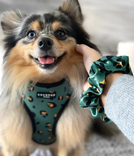 Cocopup London - 🐆 Khaki Leopard Adjustable Neck Harness